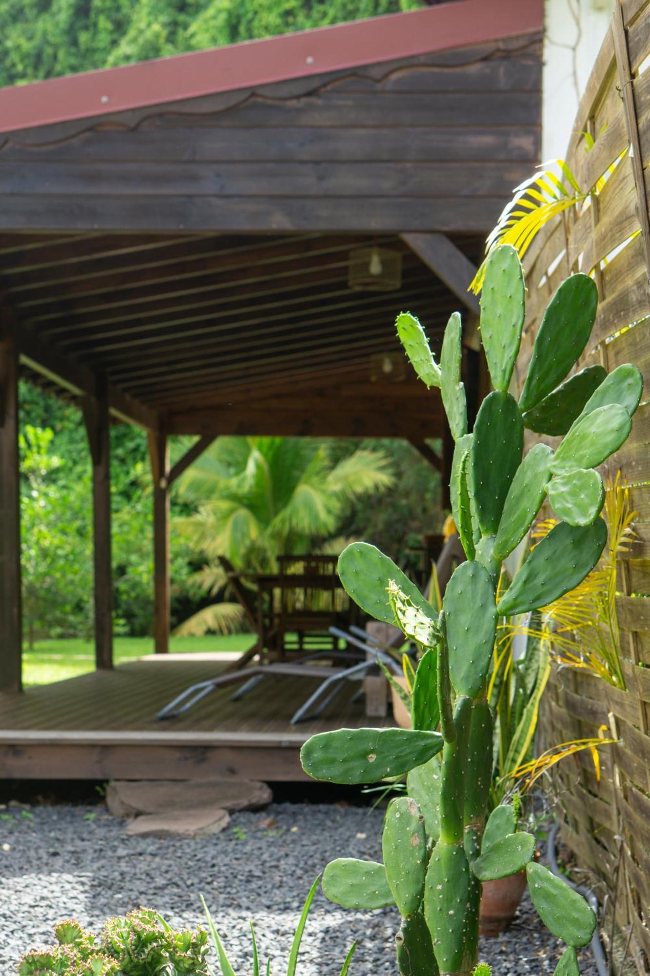 לז אבים Villa Au Calme Avec Jacuzzi, Villa Le Boursoie מראה חיצוני תמונה